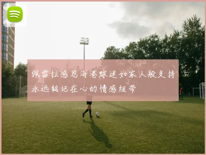 佩雷拉感恩海港球迷如家人般支持永远铭记在心的情感纽带